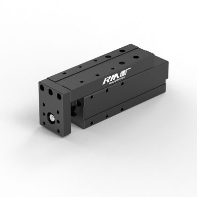 جودة  RM-NPLA Electric Linear Actuator, Micro Platform-type Linear Actuator, High-speed and Steadily مصنع